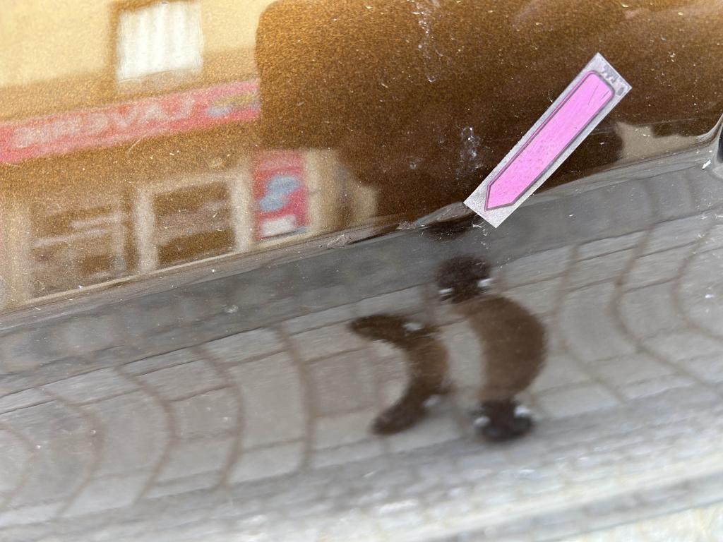 Thumbnail 59