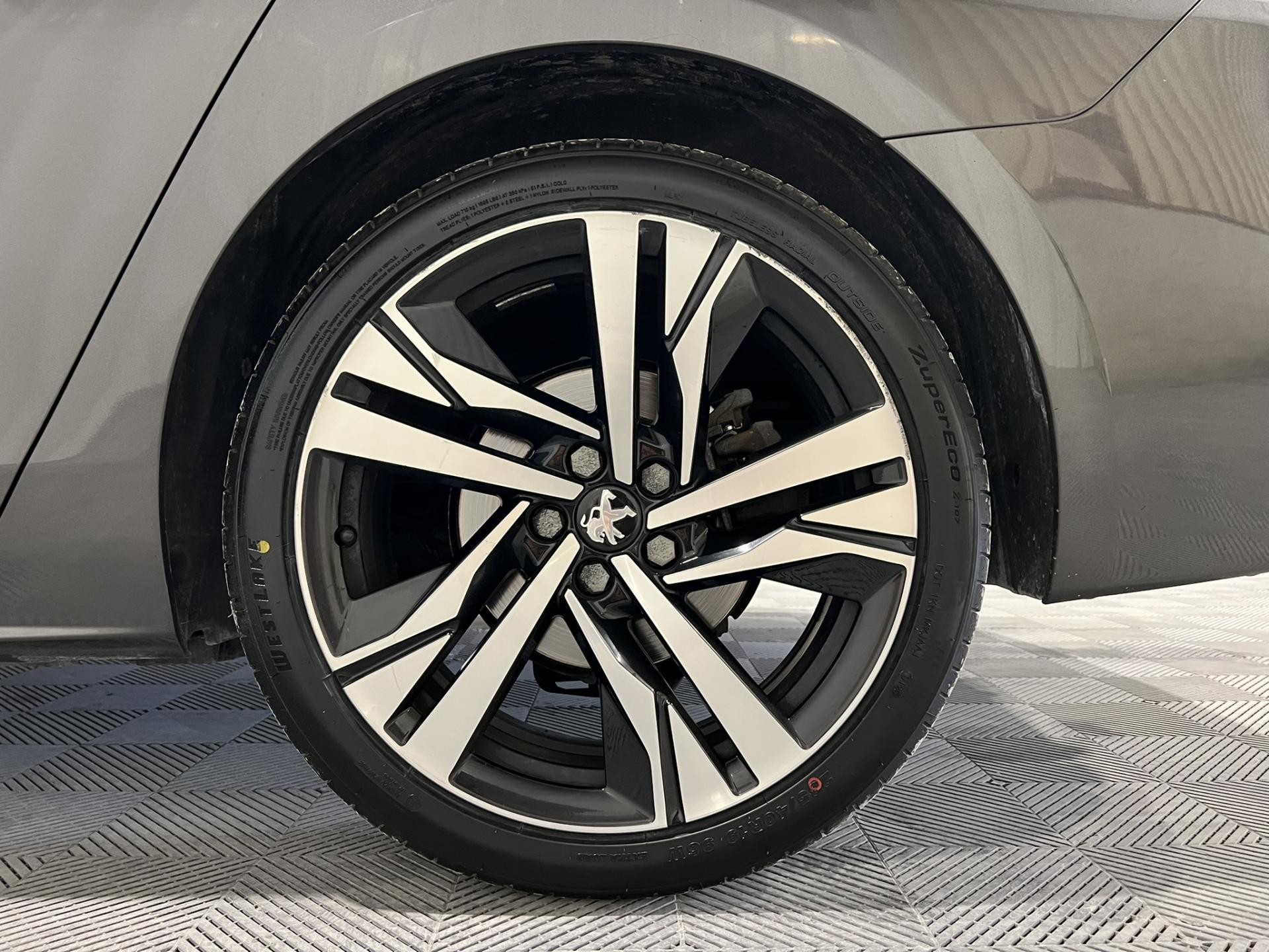 Thumbnail 19