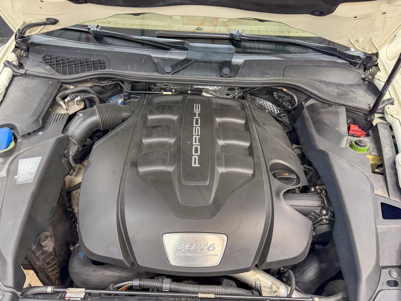 Thumbnail 12