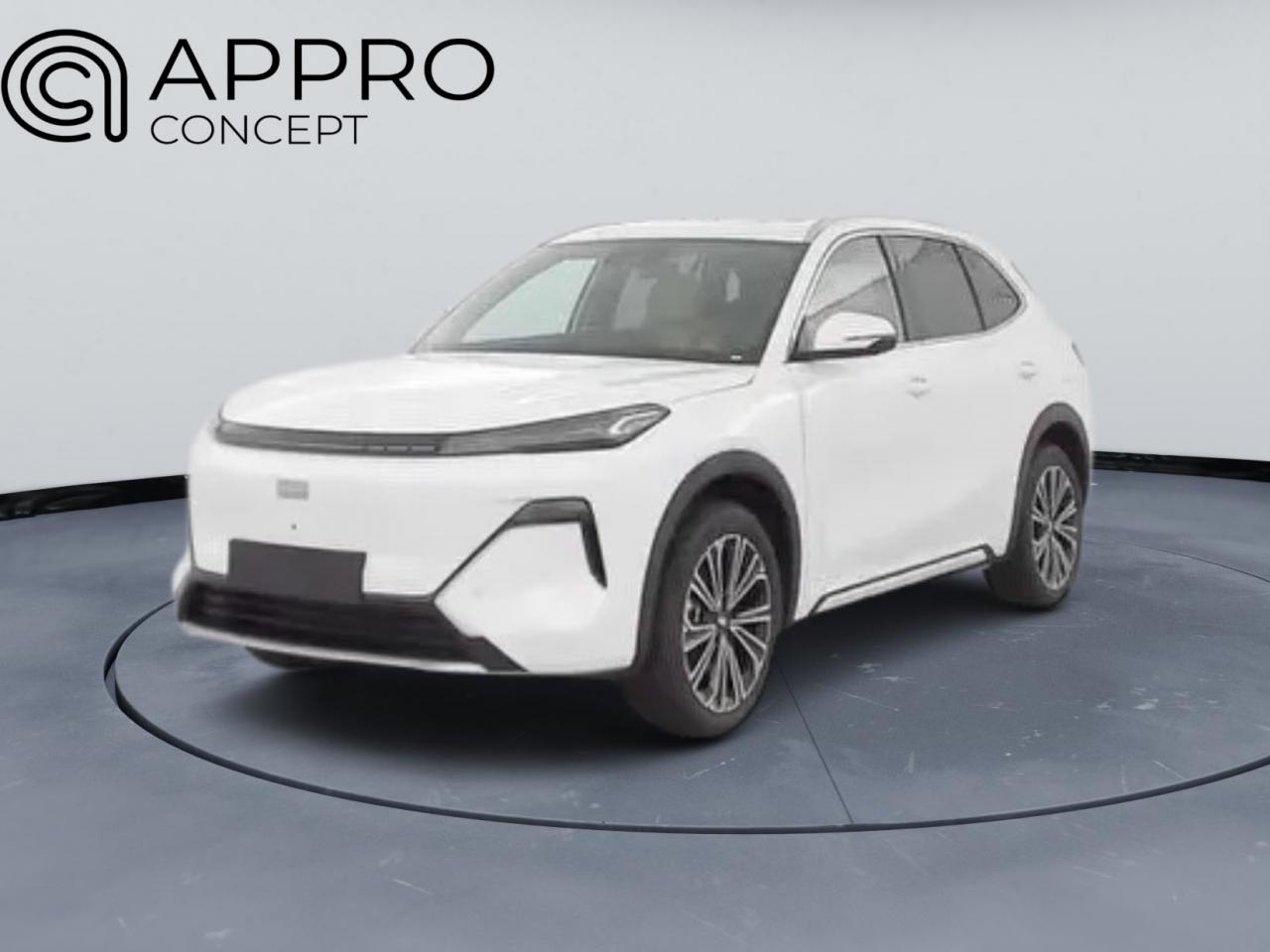 GEELY STARRAY EM-I