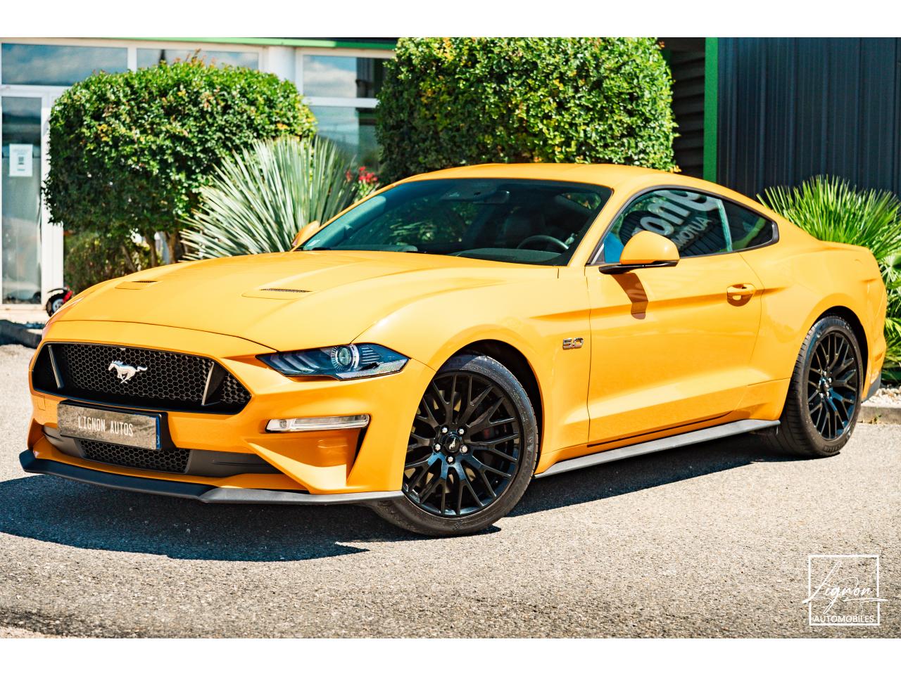 FORD MUSTANG
