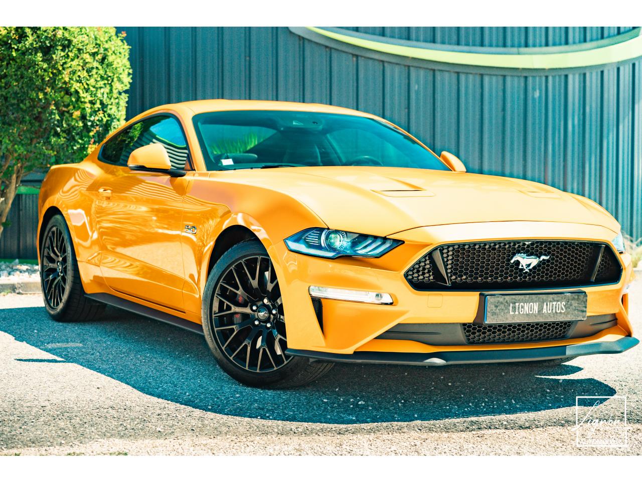 Thumbnail 14
