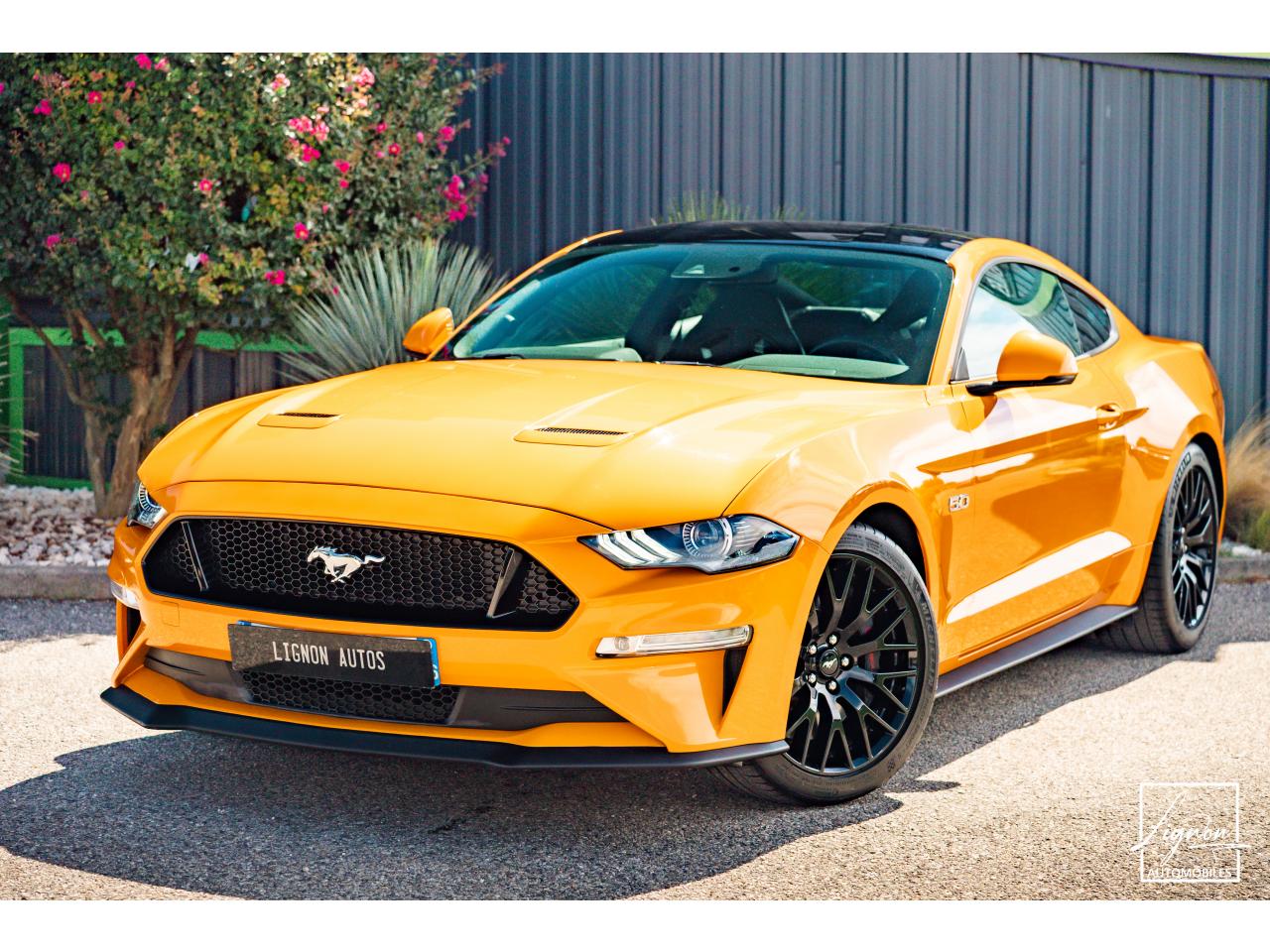 FORD MUSTANG