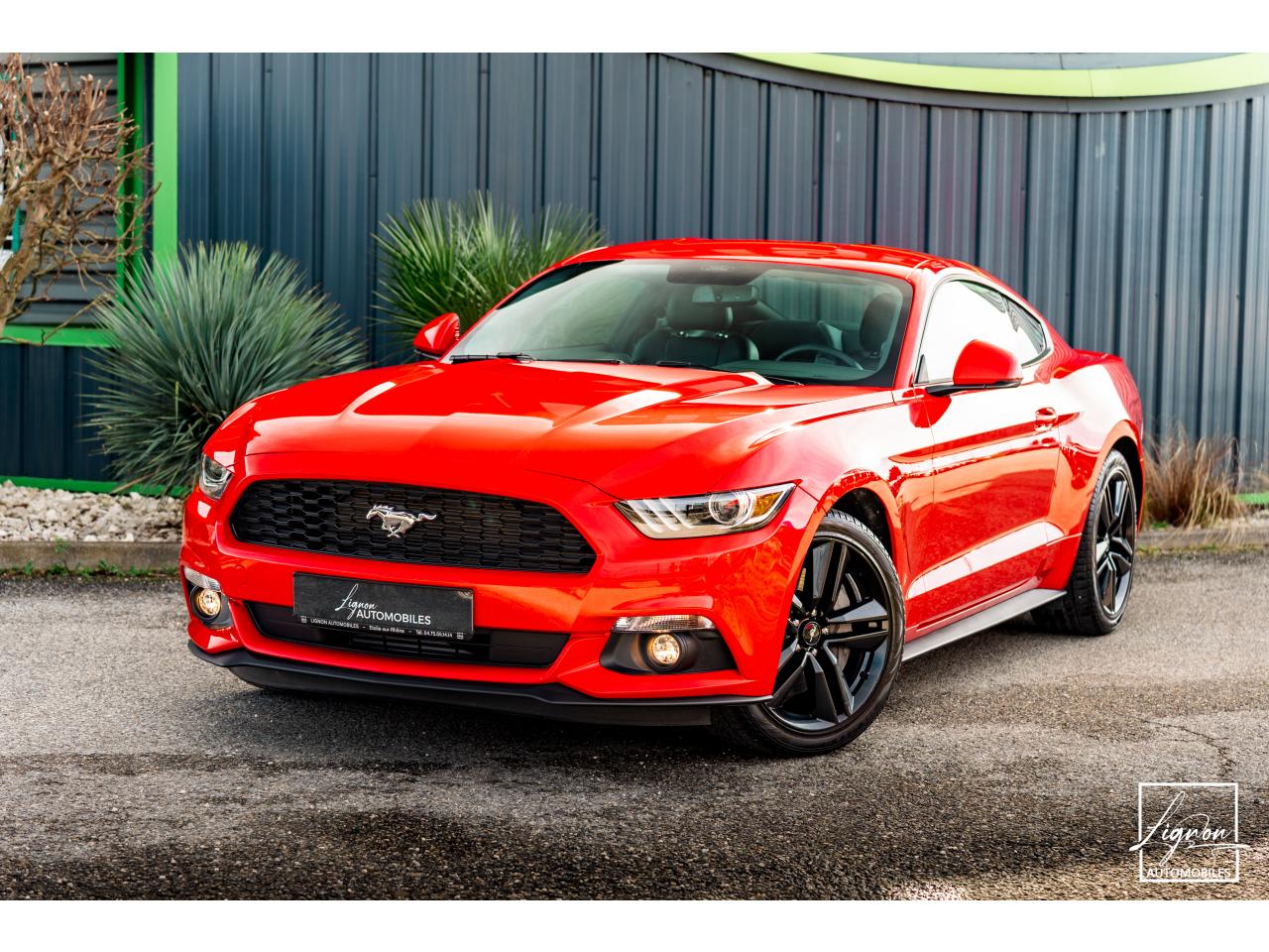 FORD MUSTANG
