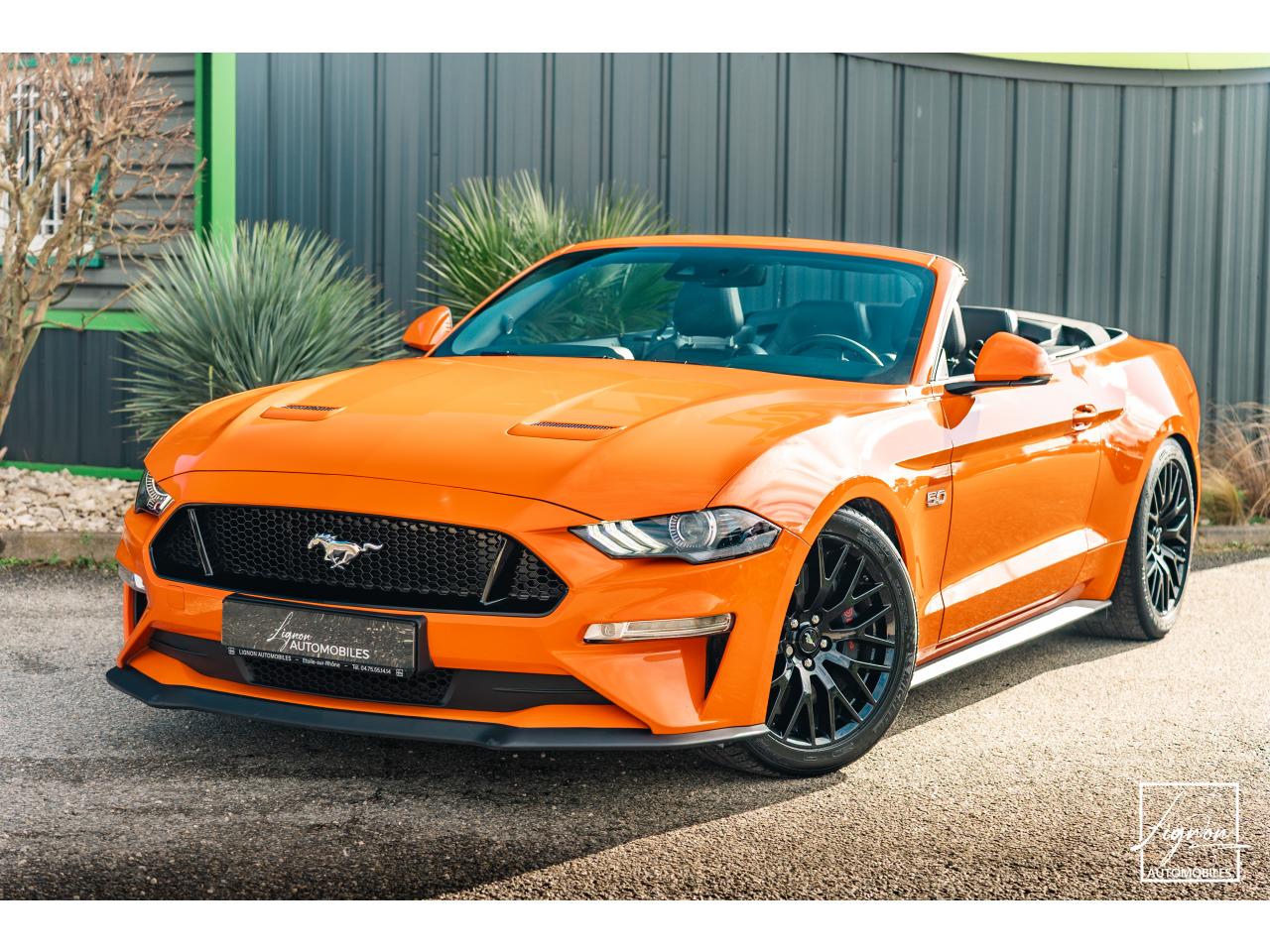 FORD MUSTANG