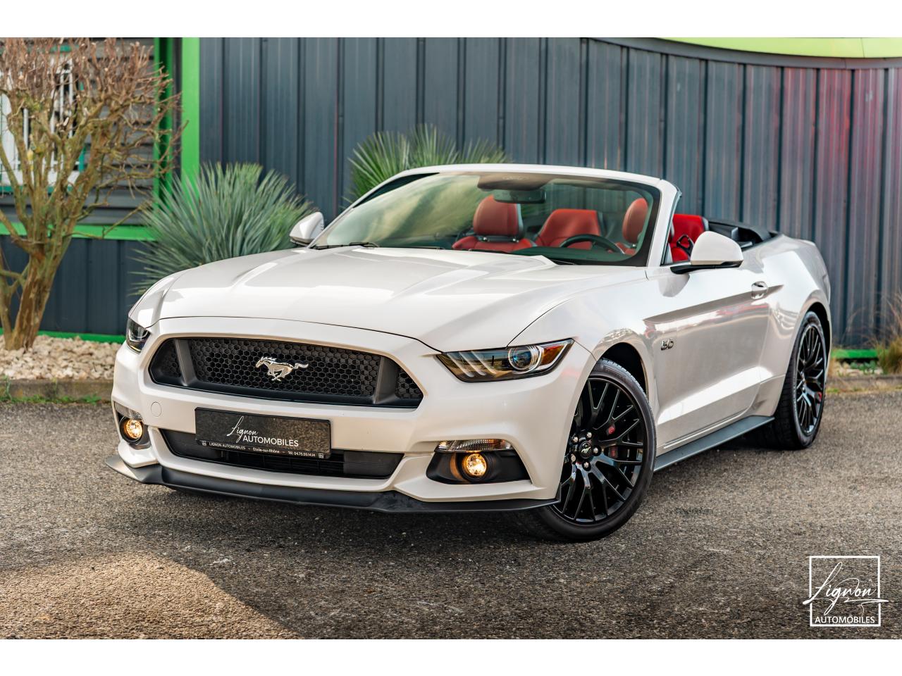 FORD MUSTANG