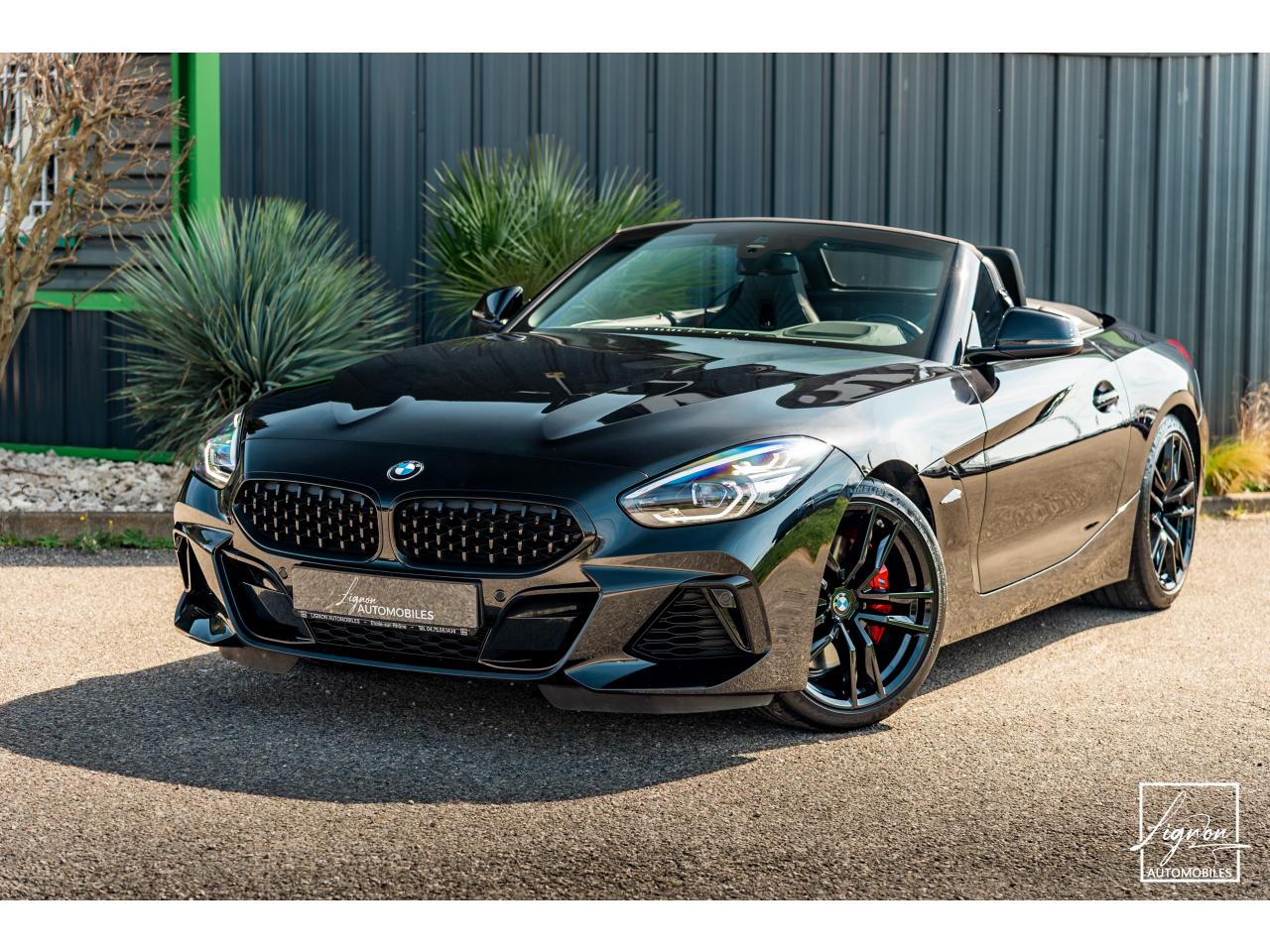 BMW Z4