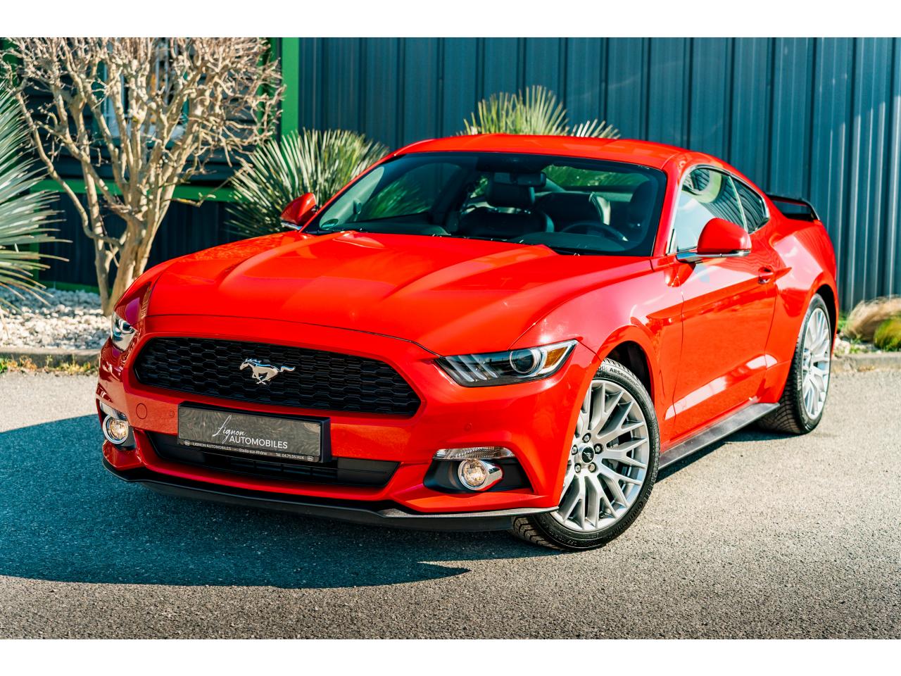 FORD MUSTANG