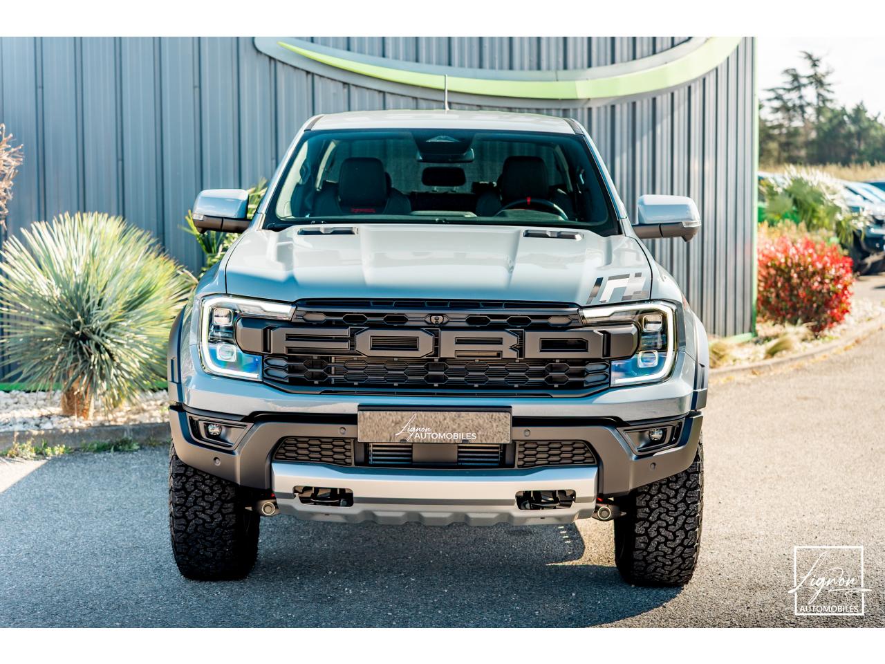 Thumbnail 13