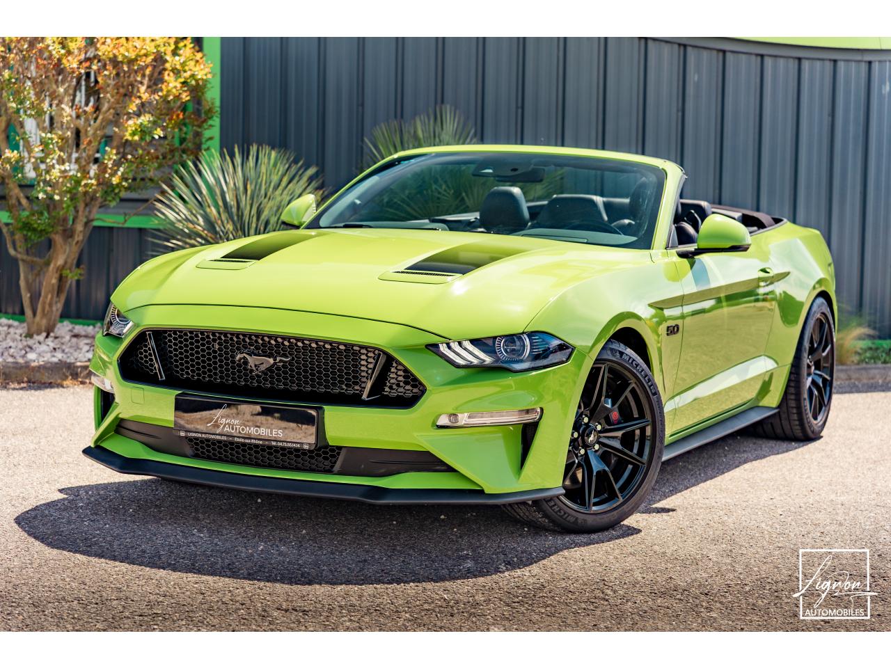 FORD MUSTANG