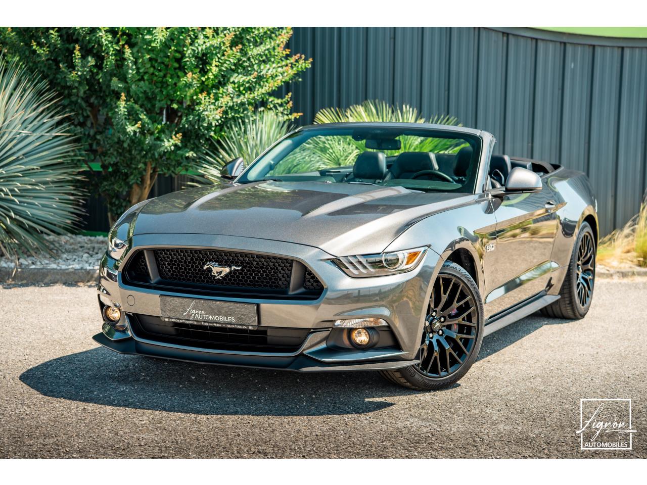 FORD MUSTANG