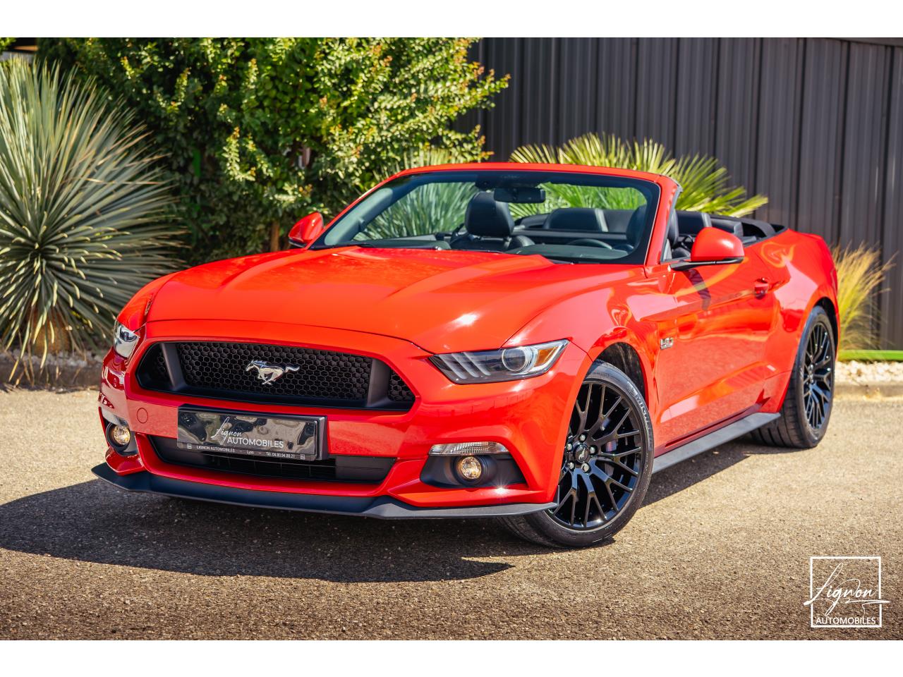 FORD MUSTANG