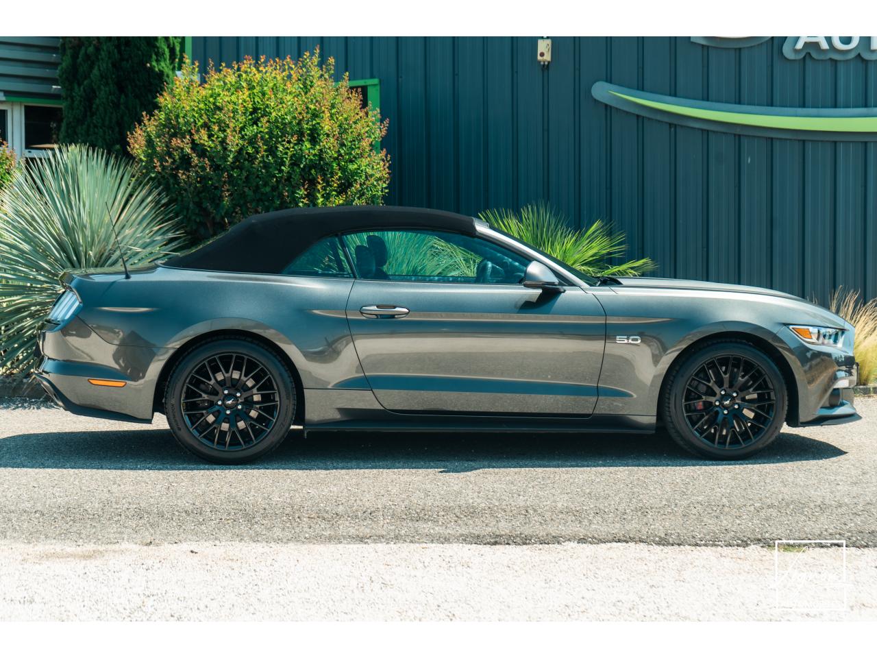 Thumbnail 15