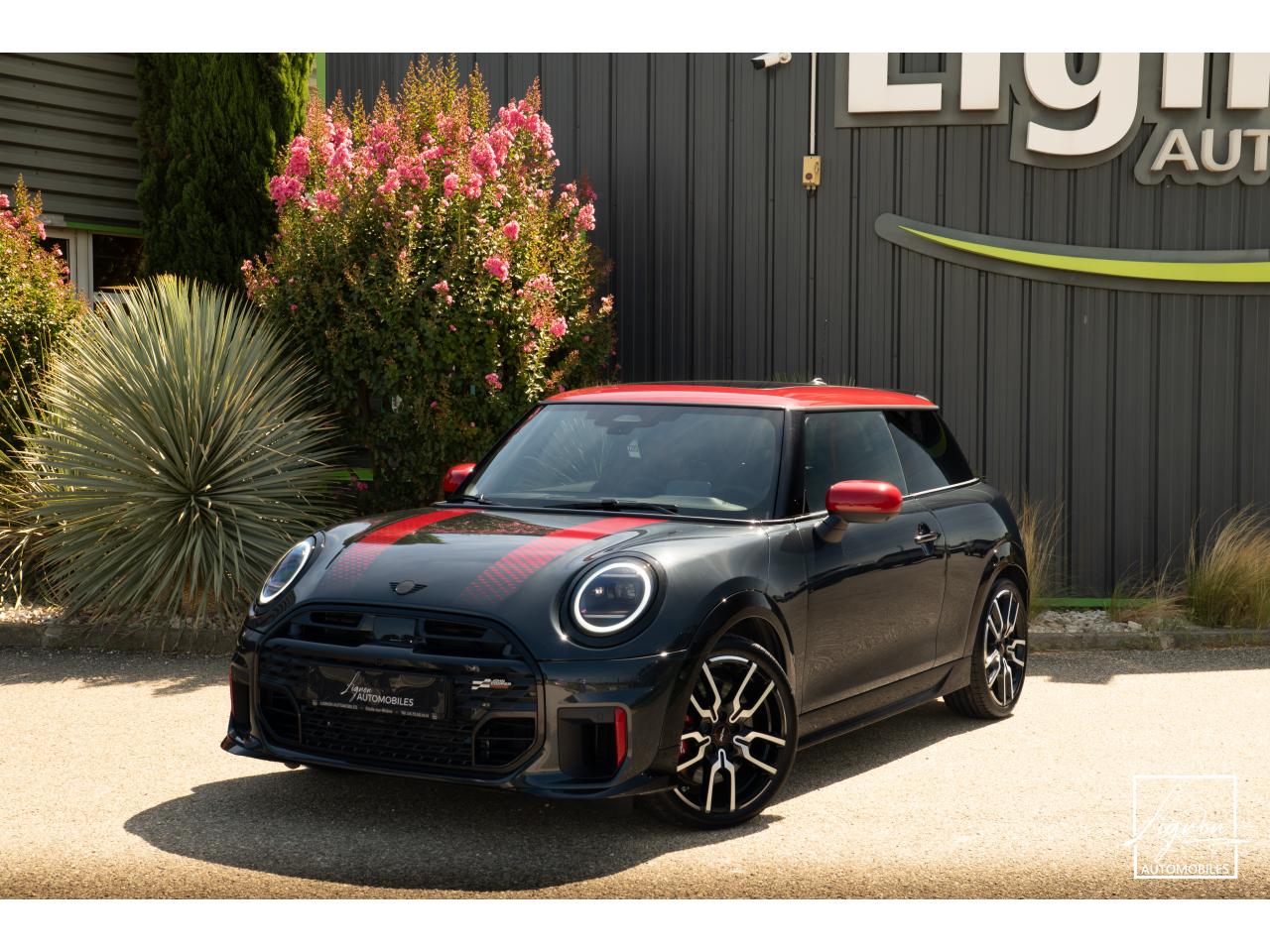 MINI MINI