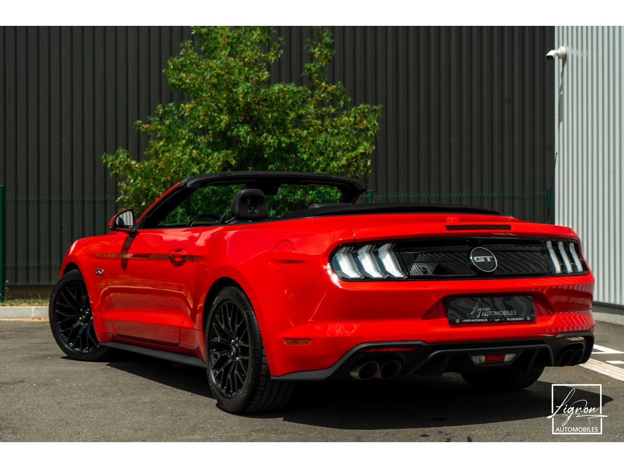 Thumbnail 22