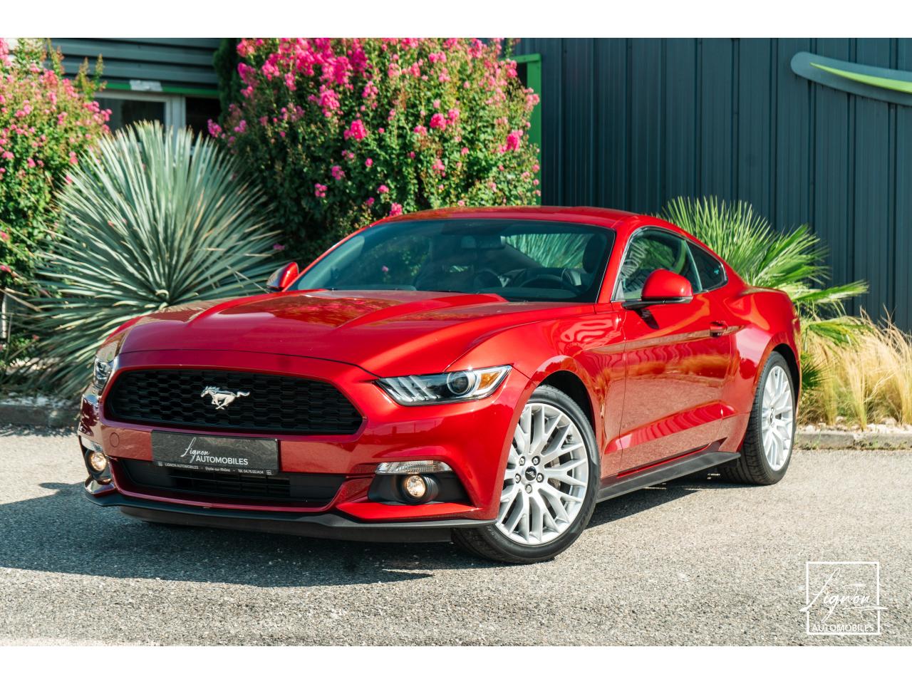 FORD MUSTANG