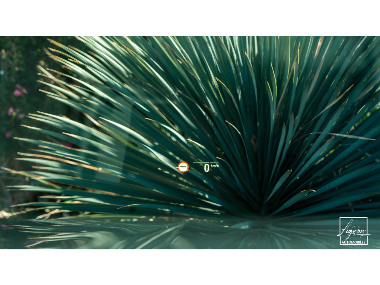 Thumbnail 45