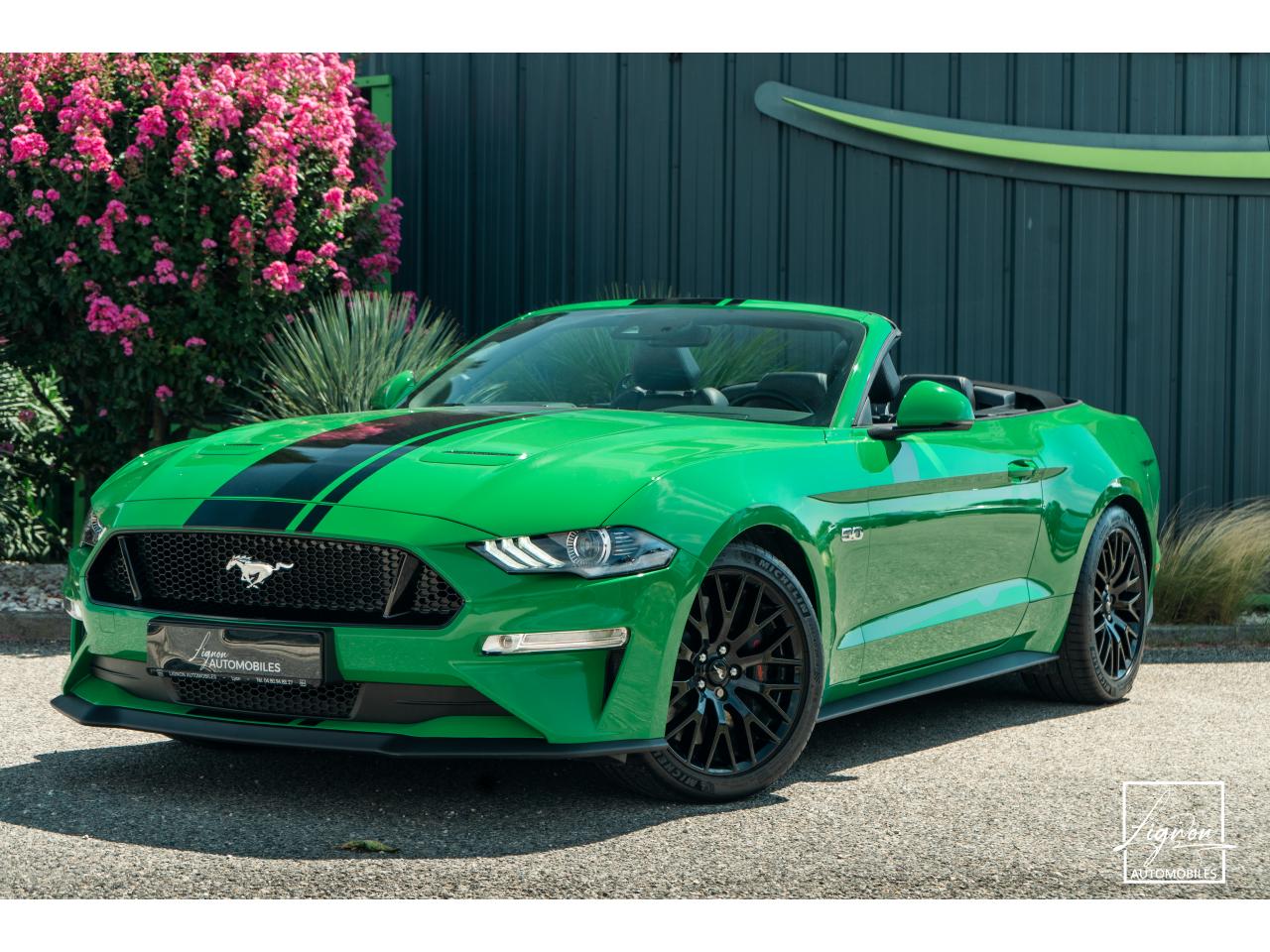 FORD MUSTANG