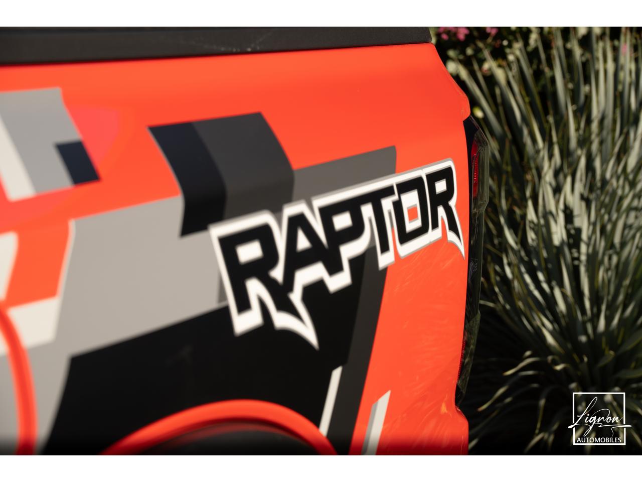 Thumbnail 41