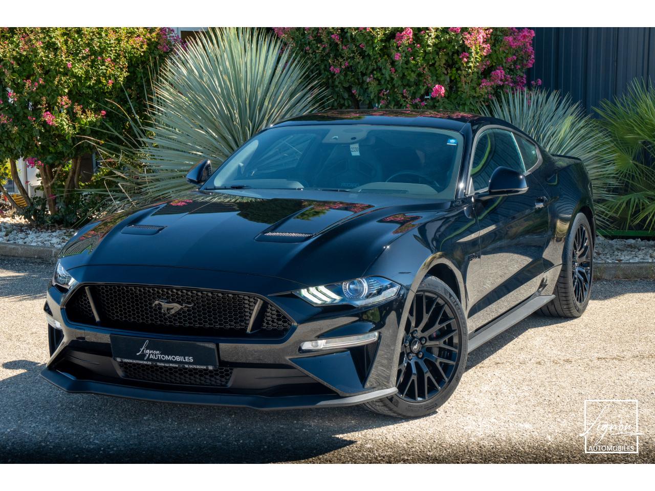 FORD MUSTANG