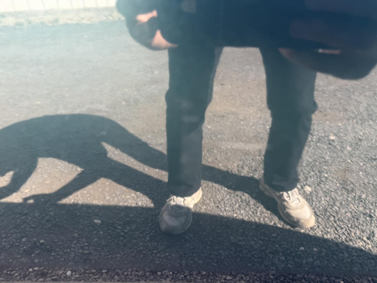 Thumbnail 34