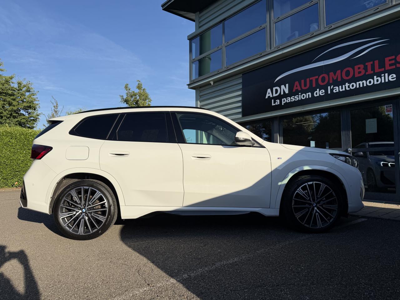 Thumbnail 23