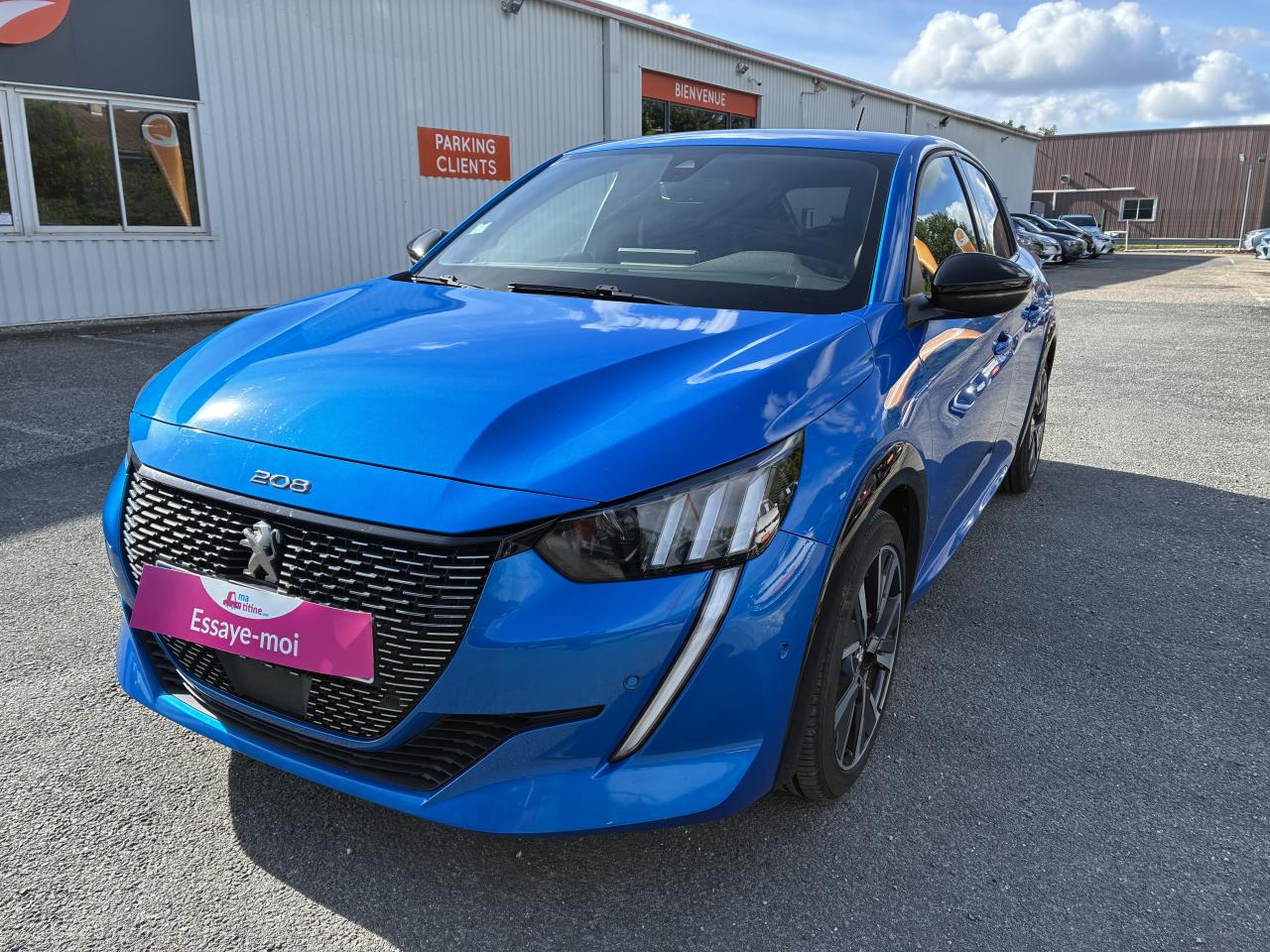 PEUGEOT 208