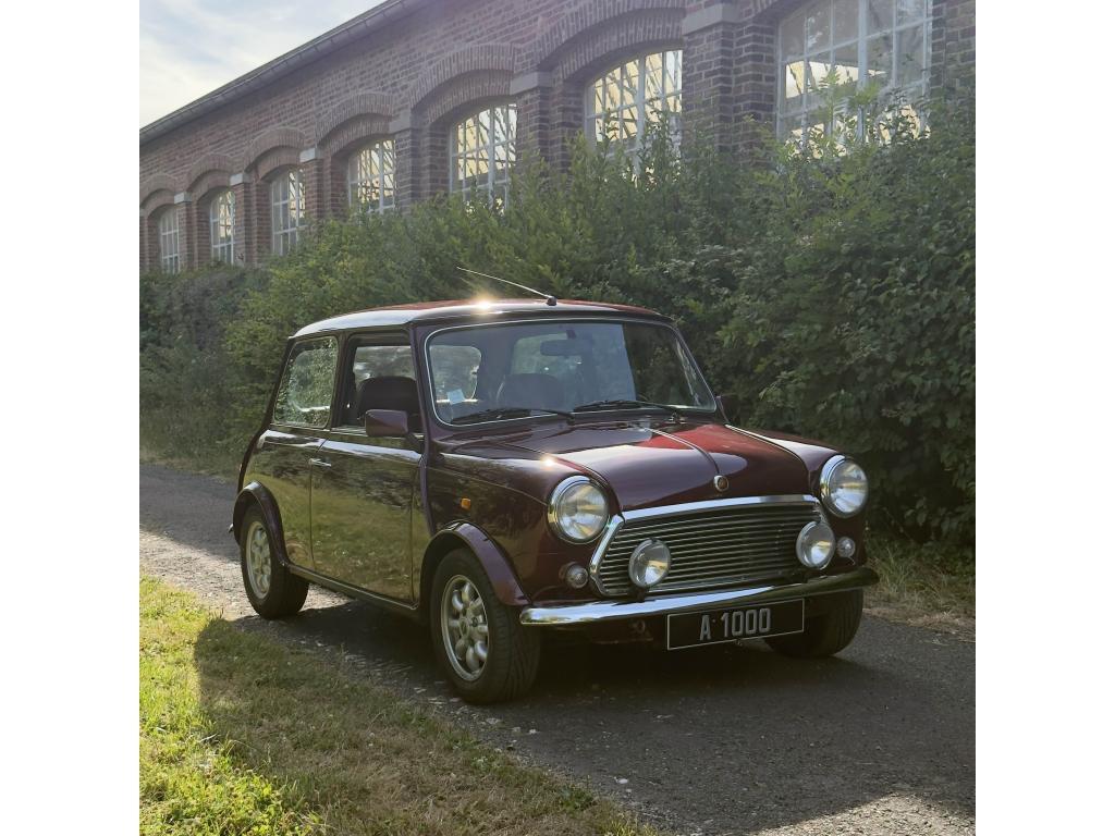 MINI MINI