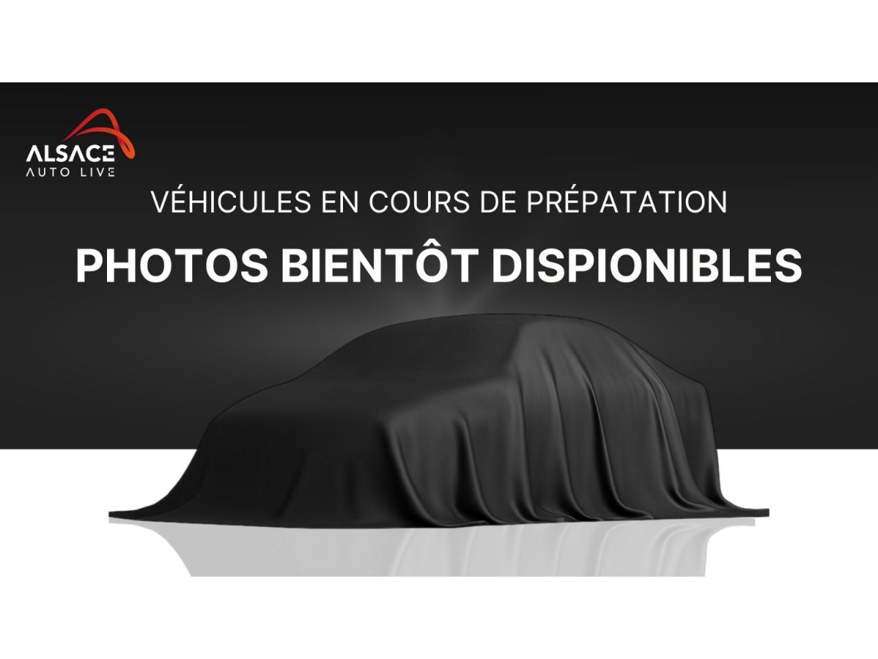 RENAULT MASTER Grand Confort 3T3 L2H2 2.3 dCi 135  BVM - 15 825 HT