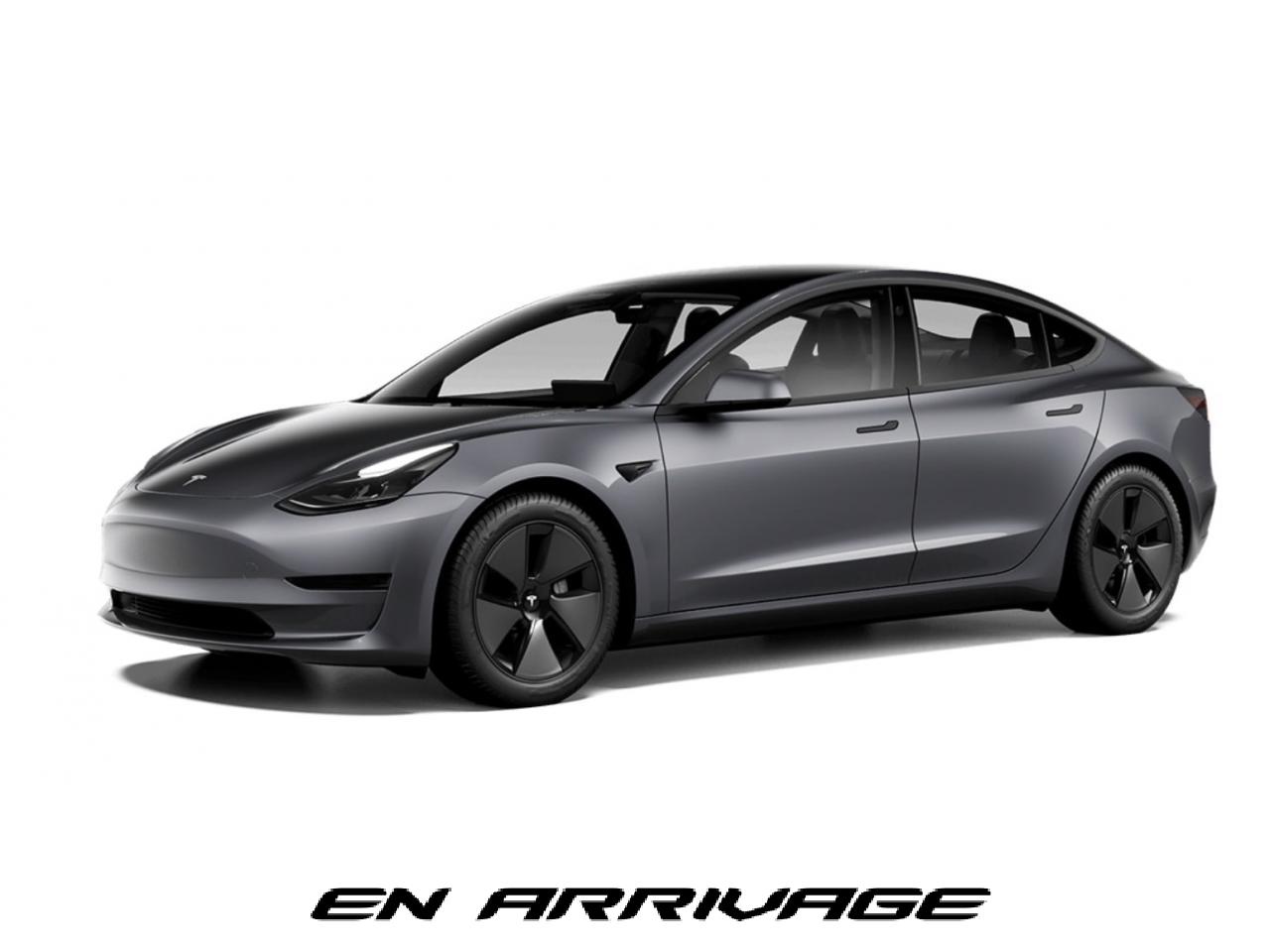 TESLA MODEL 3 RWD MY22  Standard Plus