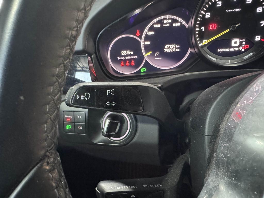 Thumbnail 41