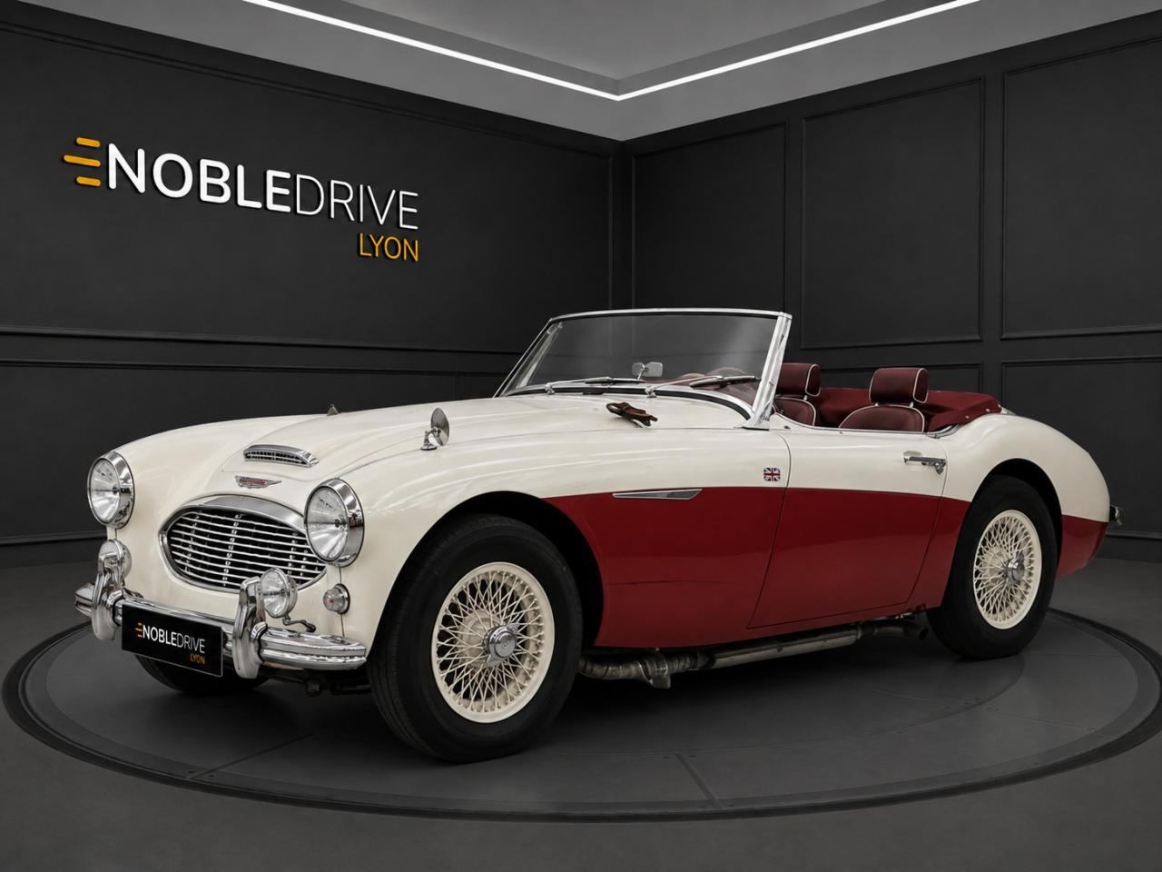 AUSTIN HEALEY