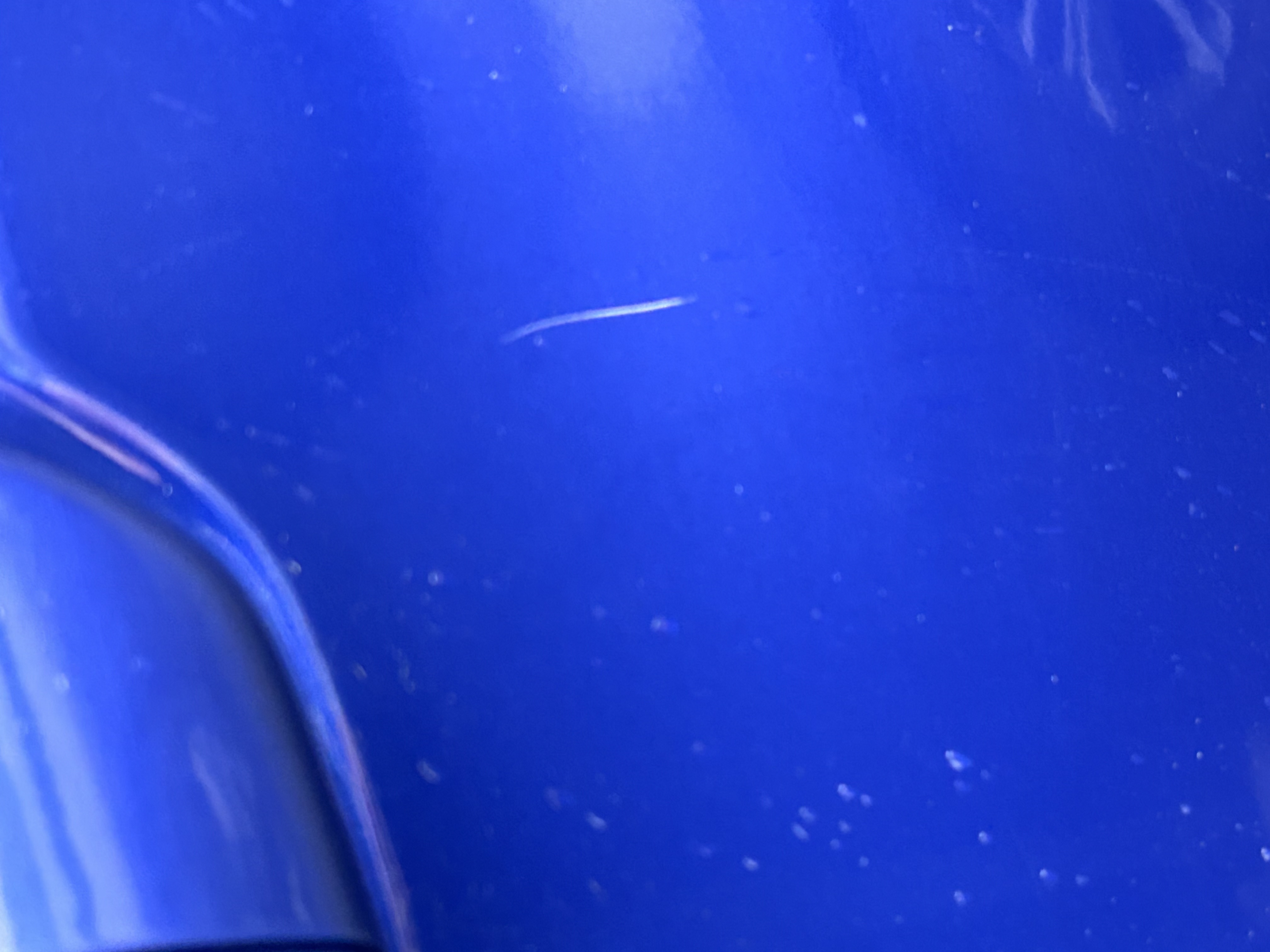 Thumbnail 16