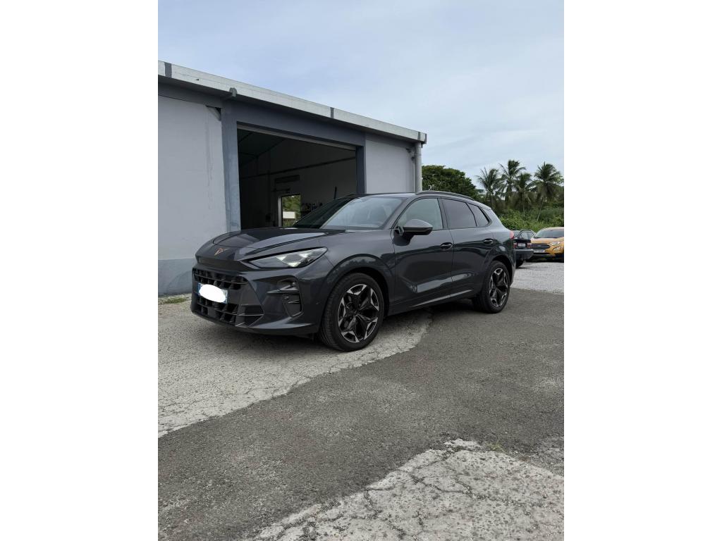 CUPRA TERRAMAR