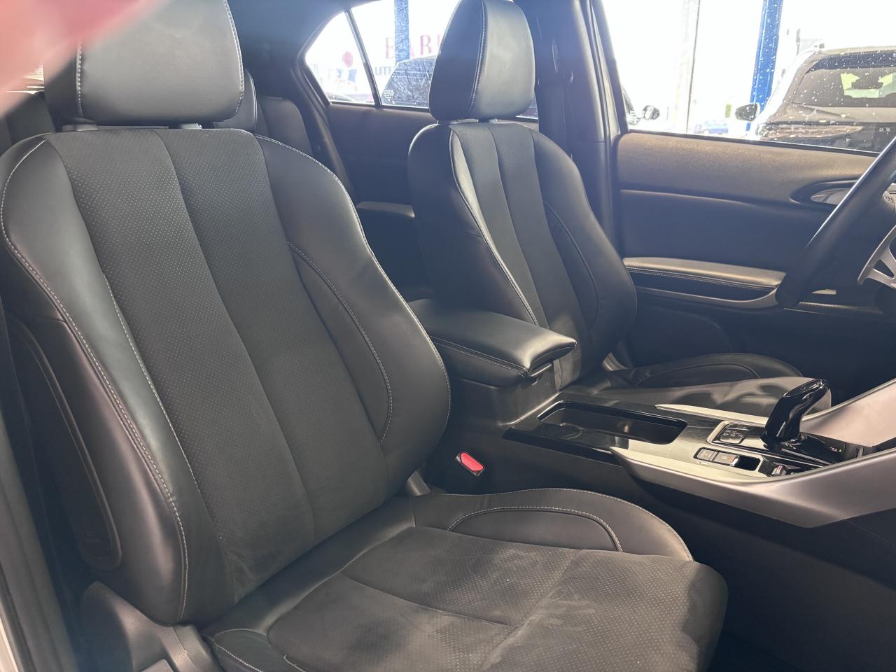 Thumbnail 10