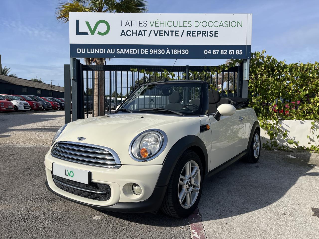 MINI MINI