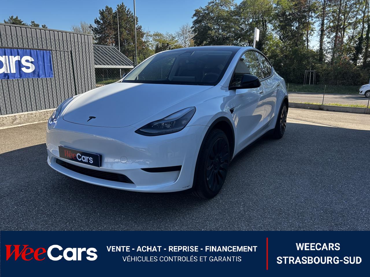 TESLA MODEL Y STANDARD RWD