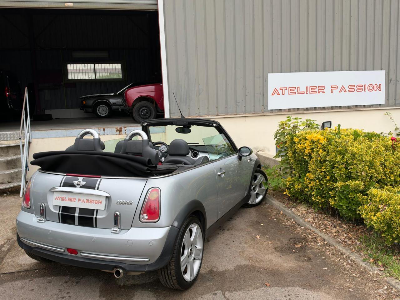 MINI MINI