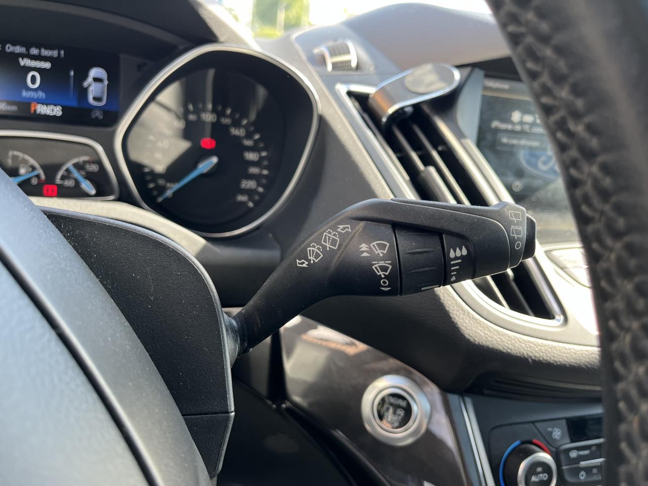 Thumbnail 19