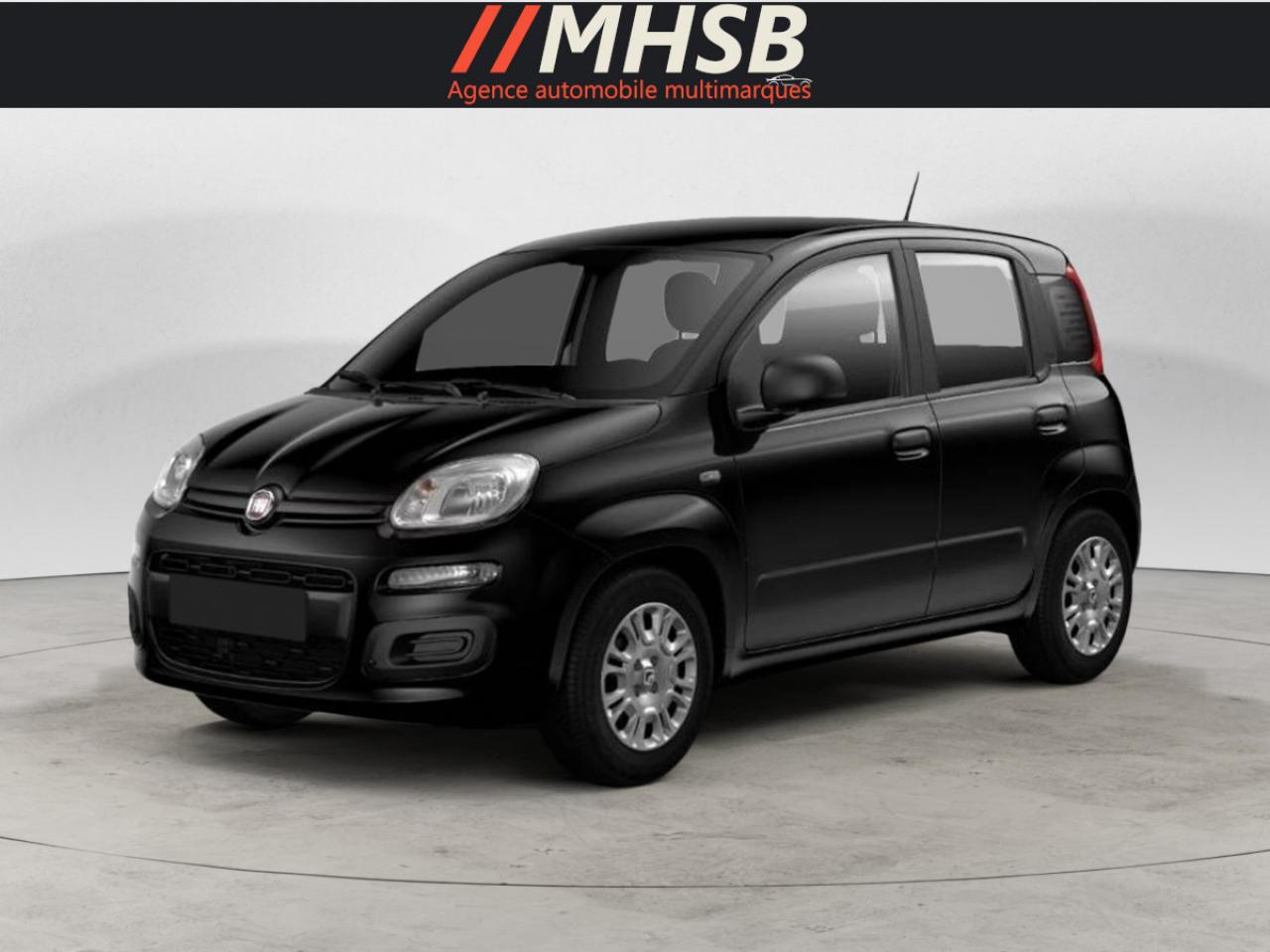 FIAT PANDA Pandina 1.0i BSG 65 Icône
