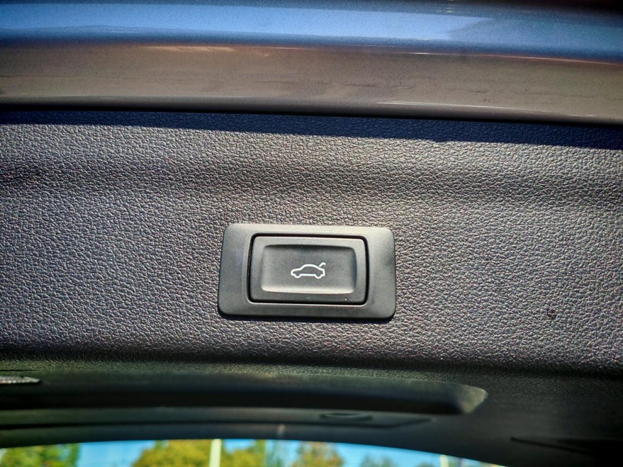 Thumbnail 19
