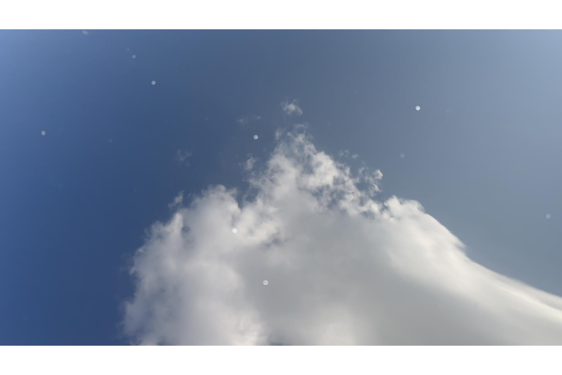 Thumbnail 25