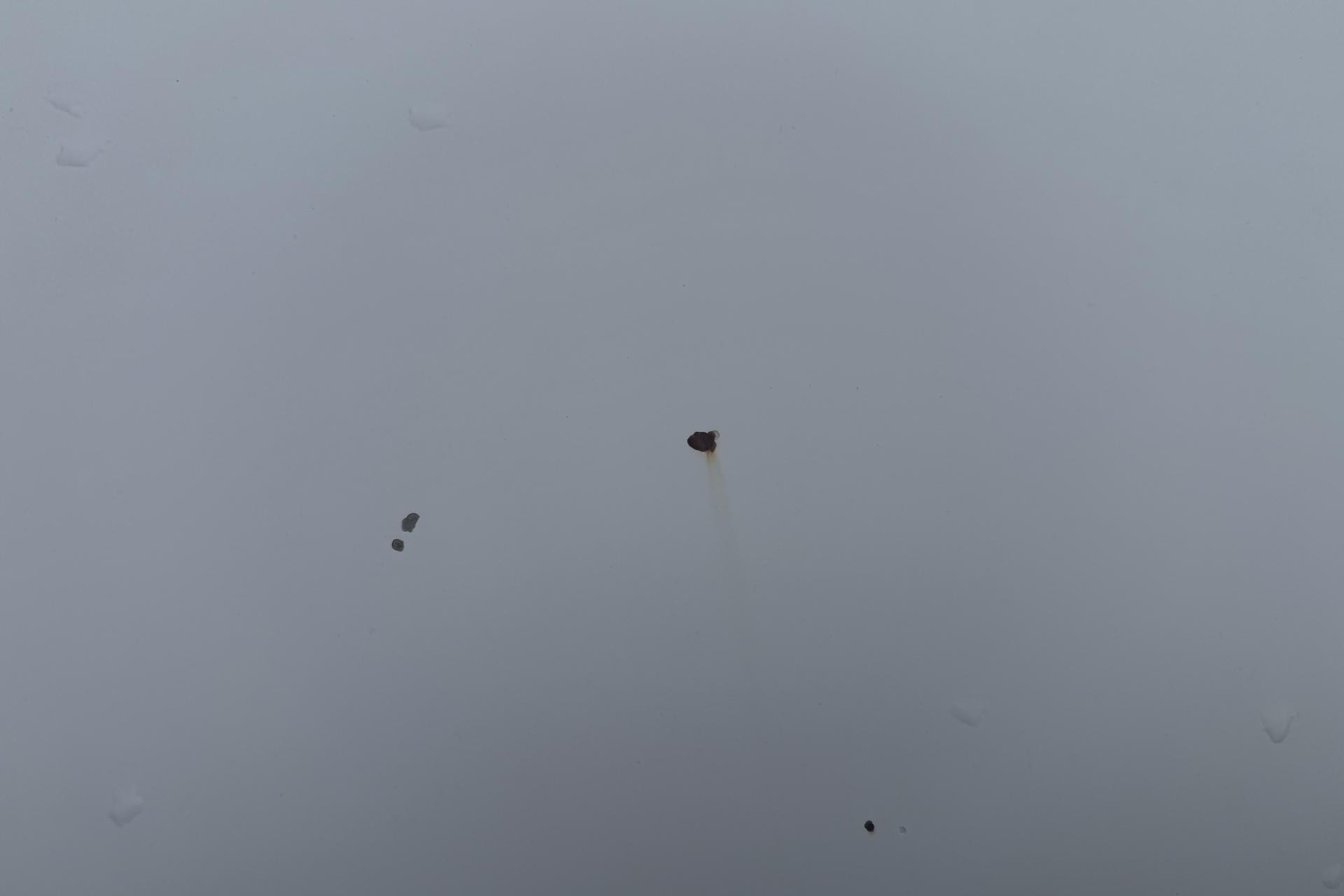 Thumbnail 21