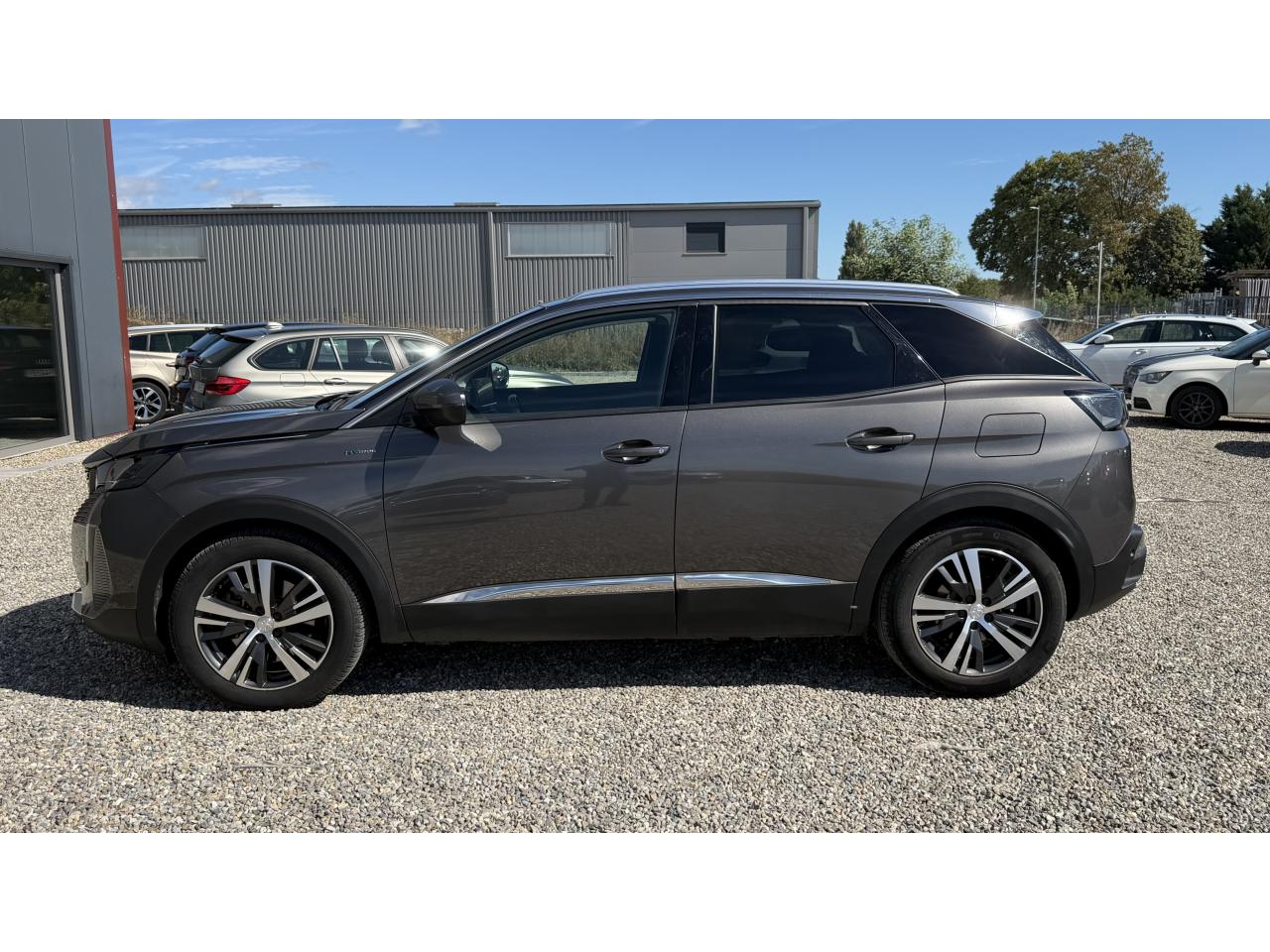 Thumbnail 7
