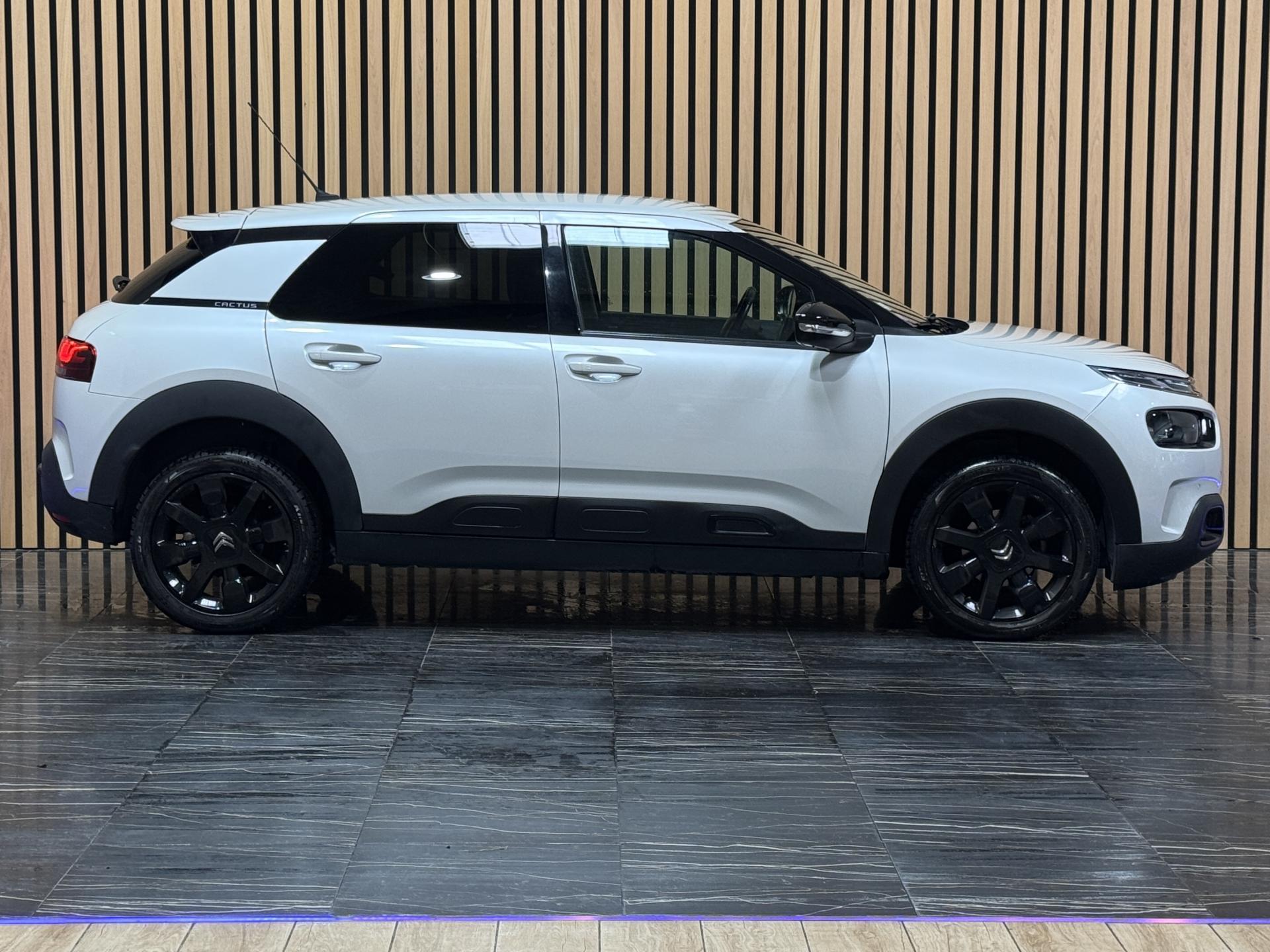 Thumbnail 13
