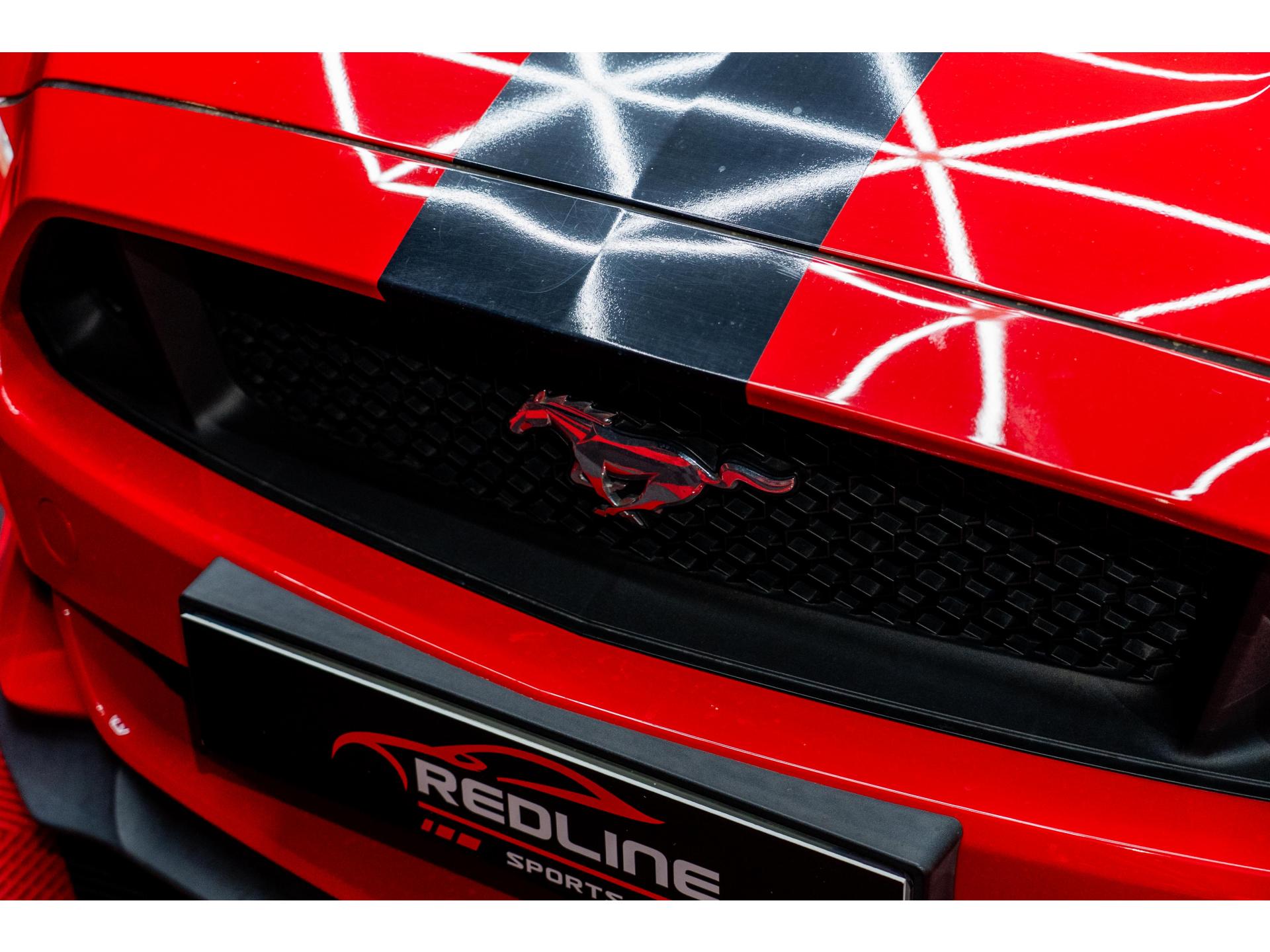 Thumbnail 13