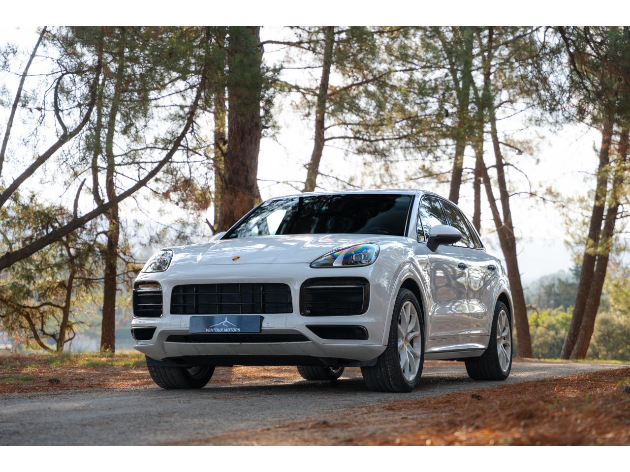 PORSCHE CAYENNE 3