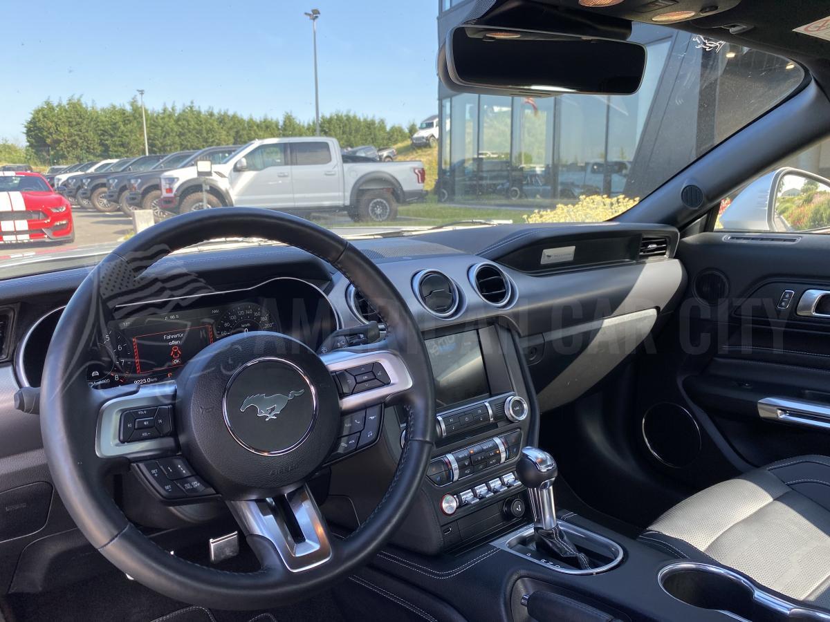 FORD MUSTANG GT Fastback 5.0L V8 BVA10