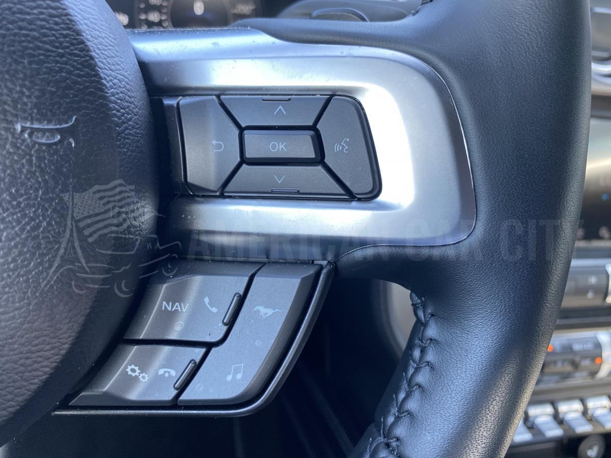 FORD MUSTANG GT Fastback 5.0L V8 BVA10