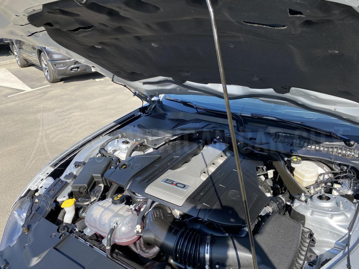 FORD MUSTANG GT Fastback 5.0L V8 BVA10